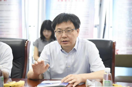 安徽省稅務局領導蒞臨金鵬集團調研指導