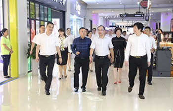 徐州市豐縣領導一行蒞臨金鵬控股集團考察調研，共話合作發展新機遇